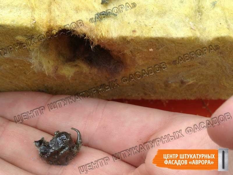 В основном ржавые пятна появляются на фасаде из-за королька